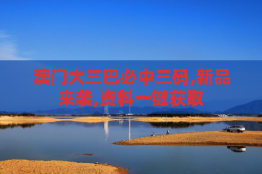 澳门大三巴必中三码,新品来袭,资料一键获取