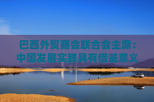 巴西外贸商会联合会主席：中国发展实践具有借鉴意义 | 世界观