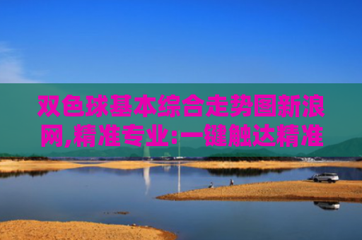 双色球基本综合走势图新浪网,精准专业:一键触达精准资料库
