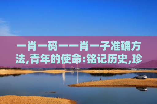 一肖一码一一肖一子准确方法,青年的使命:铭记历史,珍爱和平