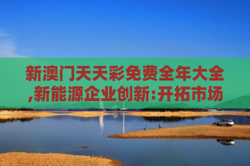 新澳门天天彩免费全年大全,新能源企业创新:开拓市场新领域