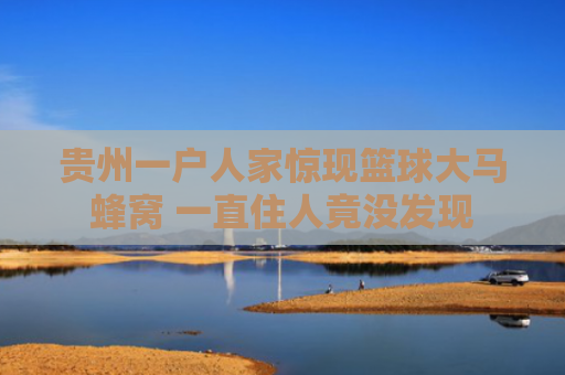 贵州一户人家惊现篮球大马蜂窝 一直住人竟没发现