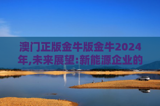 澳门正版金牛版金牛2024年,未来展望:新能源企业的创新成果